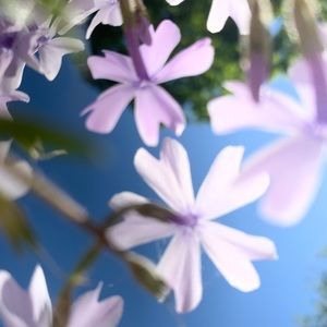 Meet your Posher, Malayna